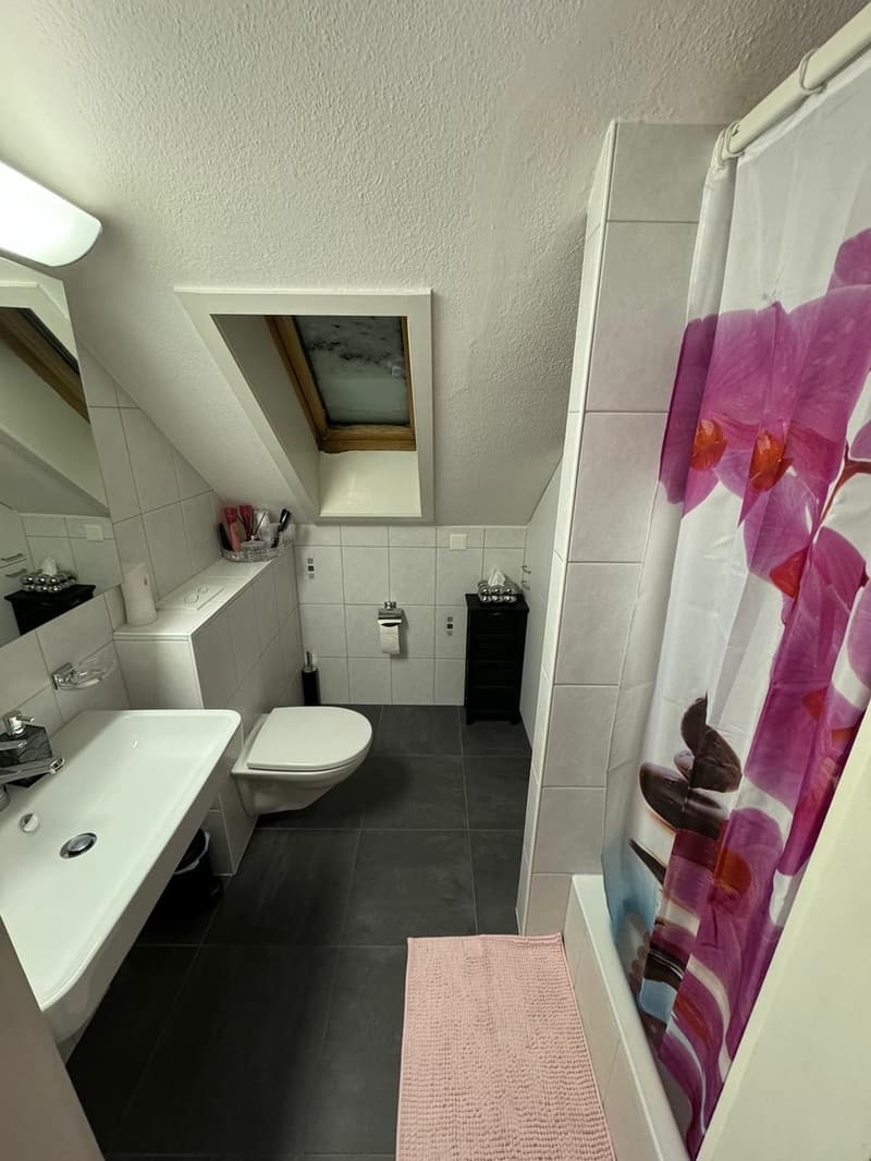 Looking for a 3rd Flatmate! Top Floor Attic Room with Private Bath, Balcony & Private Entrance (7)