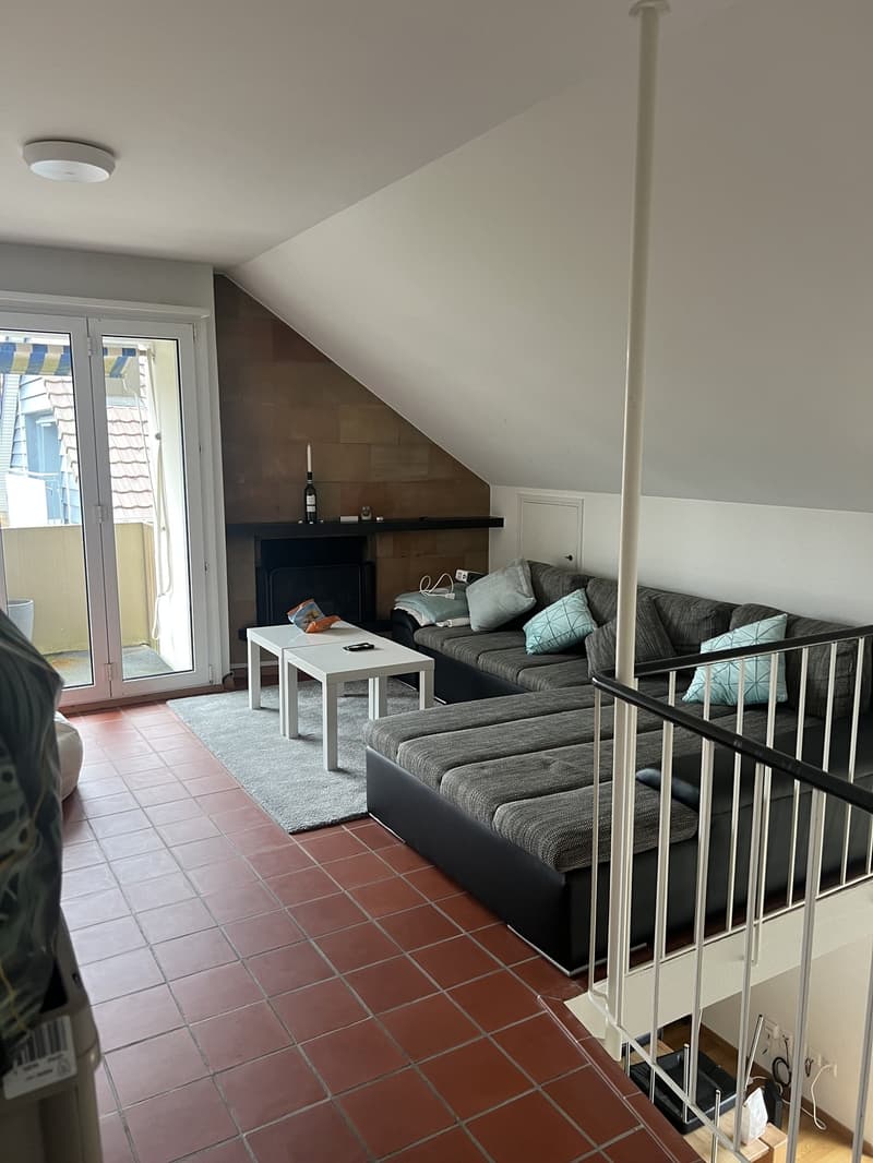 Looking for a 3rd Flatmate! Top Floor Attic Room with Private Bath, Balcony & Private Entrance (5)