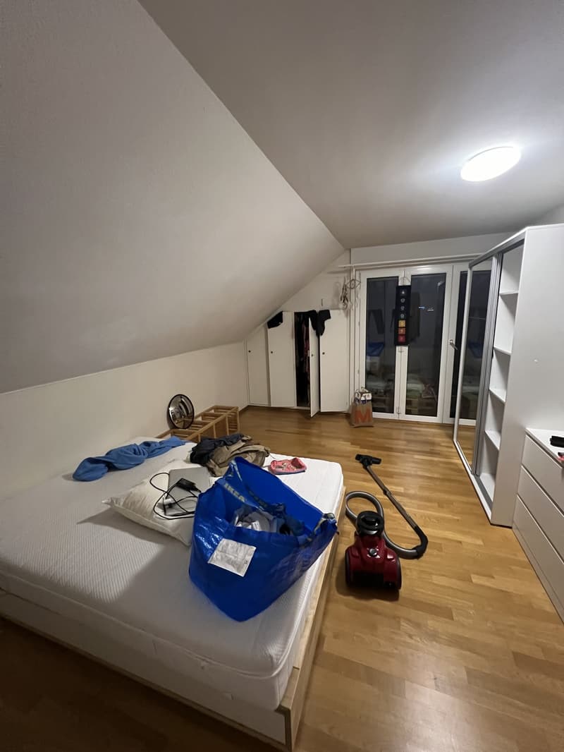 Looking for a 3rd Flatmate! Top Floor Attic Room with Private Bath, Balcony & Private Entrance (9)