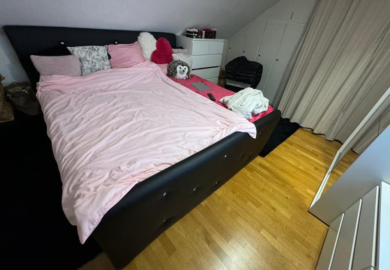 Looking for a 3rd Flatmate! Top Floor Attic Room with Private Bath, Balcony & Private Entrance (6)