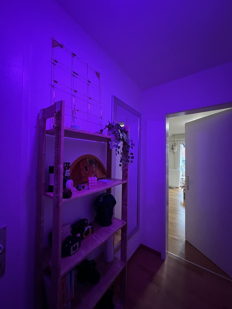 Looking for a 3rd Flatmate! Top Floor Attic Room with Private Bath, Balcony & Private Entrance (8)