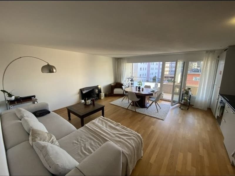 Offene und helle 2 1/2 Zi-Wohnung (3)