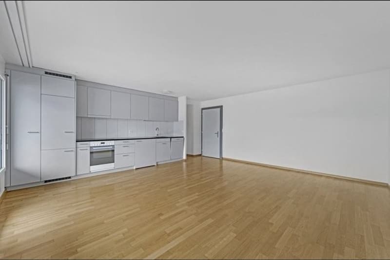 Offene und helle 2 1/2 Zi-Wohnung (1)
