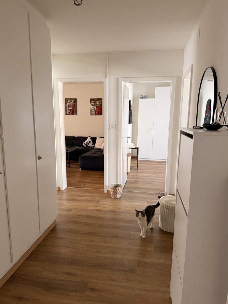 4 1/2 Wohnung in Grenchen (9)