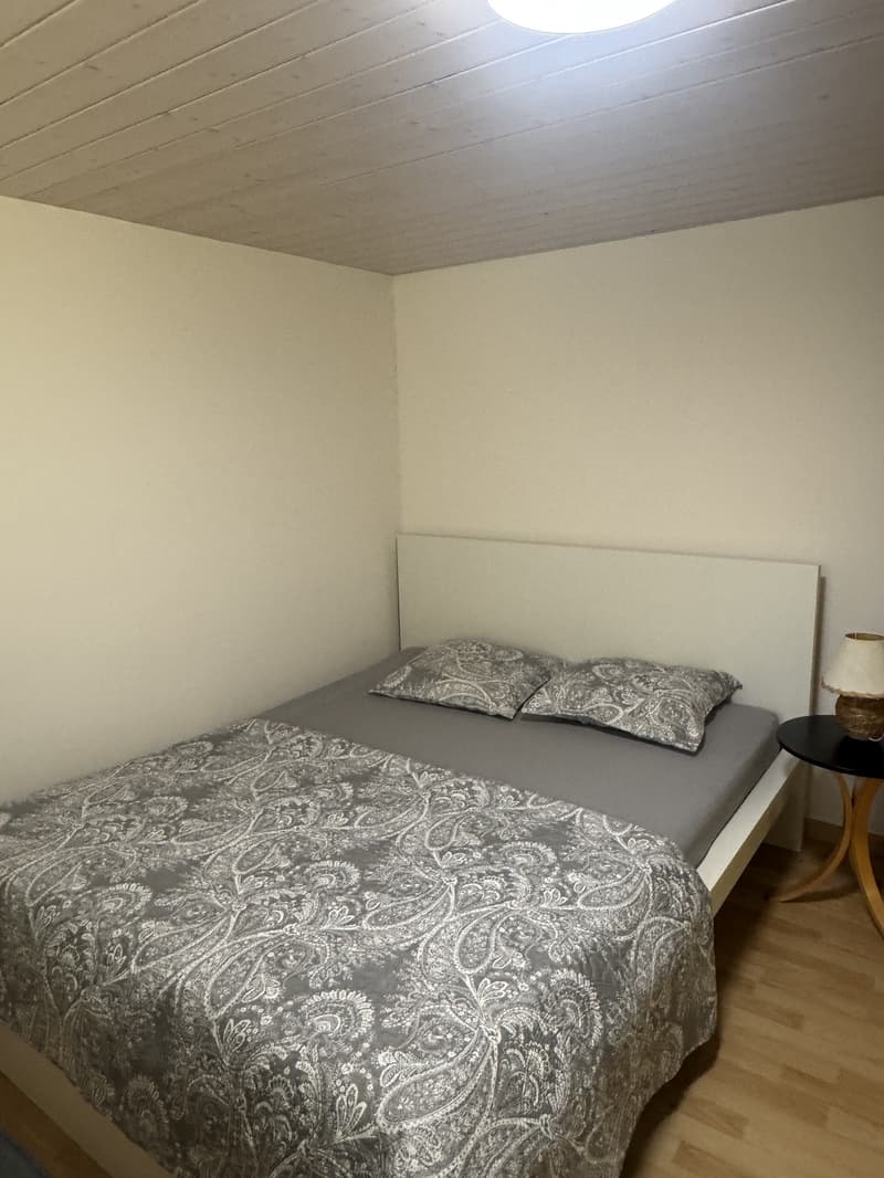 Near EPFL carefully room (1)