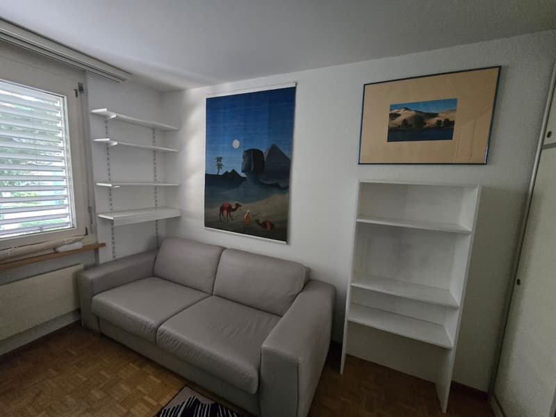 Möbliertes WG-Zimmer in grosser 3er-WG in Zürich-Höngg - ruhig und im Grünen (2)