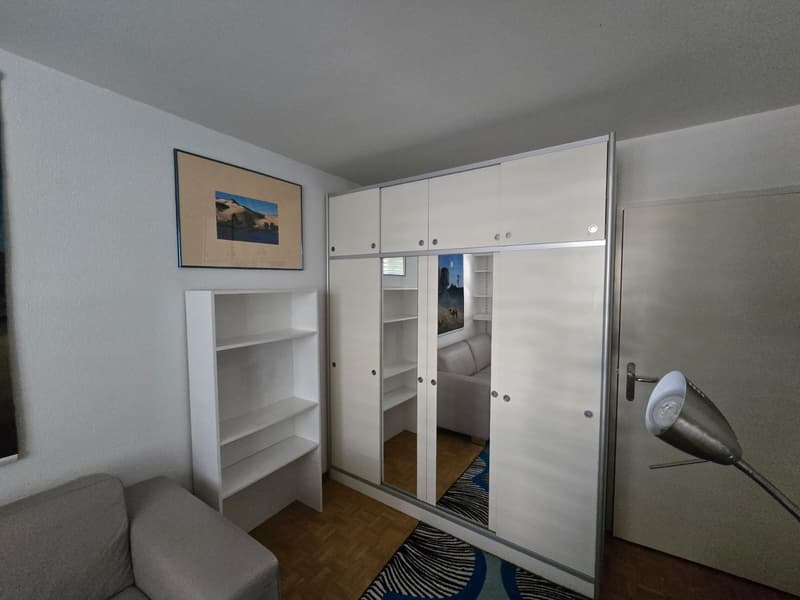 Möbliertes WG-Zimmer in grosser 3er-WG in Zürich-Höngg - ruhig und im Grünen (9)