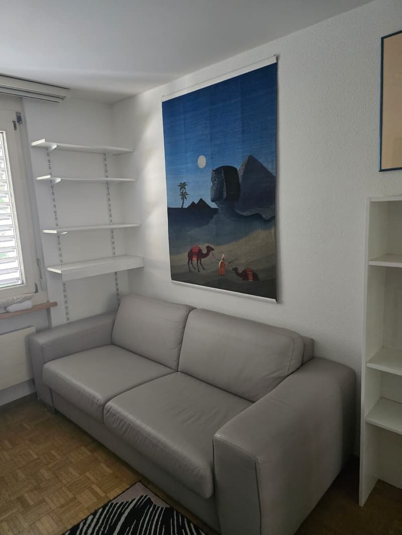 Möbliertes WG-Zimmer in grosser 3er-WG in Zürich-Höngg - ruhig und im Grünen (10)