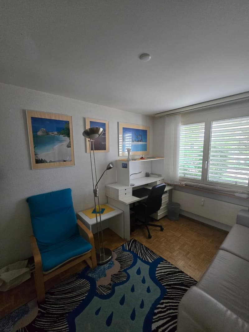 Möbliertes WG-Zimmer in grosser 3er-WG in Zürich-Höngg - ruhig und im Grünen (7)