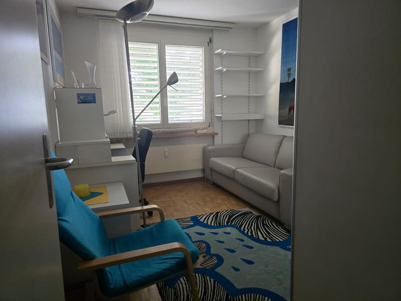 Möbliertes WG-Zimmer in grosser 3er-WG in Zürich-Höngg - ruhig und im Grünen (8)