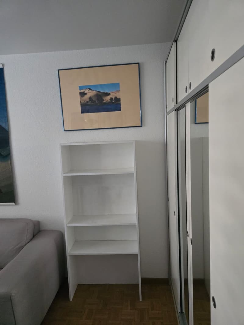 Möbliertes WG-Zimmer in grosser 3er-WG in Zürich-Höngg - ruhig und im Grünen (3)