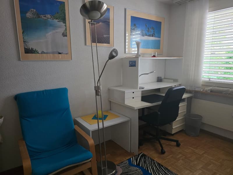 Möbliertes WG-Zimmer in grosser 3er-WG in Zürich-Höngg - ruhig und im Grünen (11)