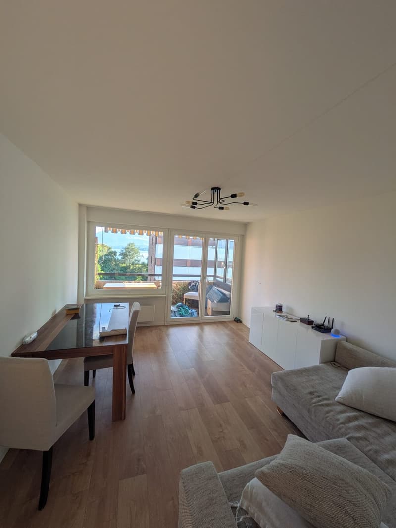5.5-Zimmer-Wohnung mi Ausblick (1)