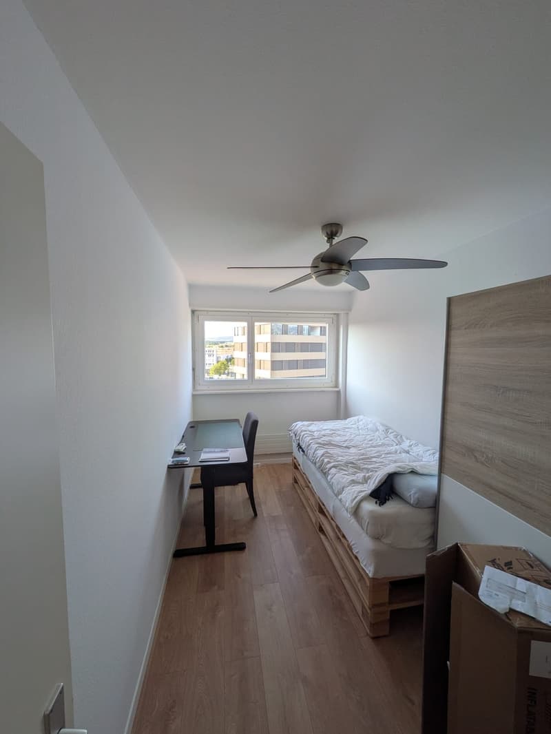 5.5-Zimmer-Wohnung mi Ausblick (5)