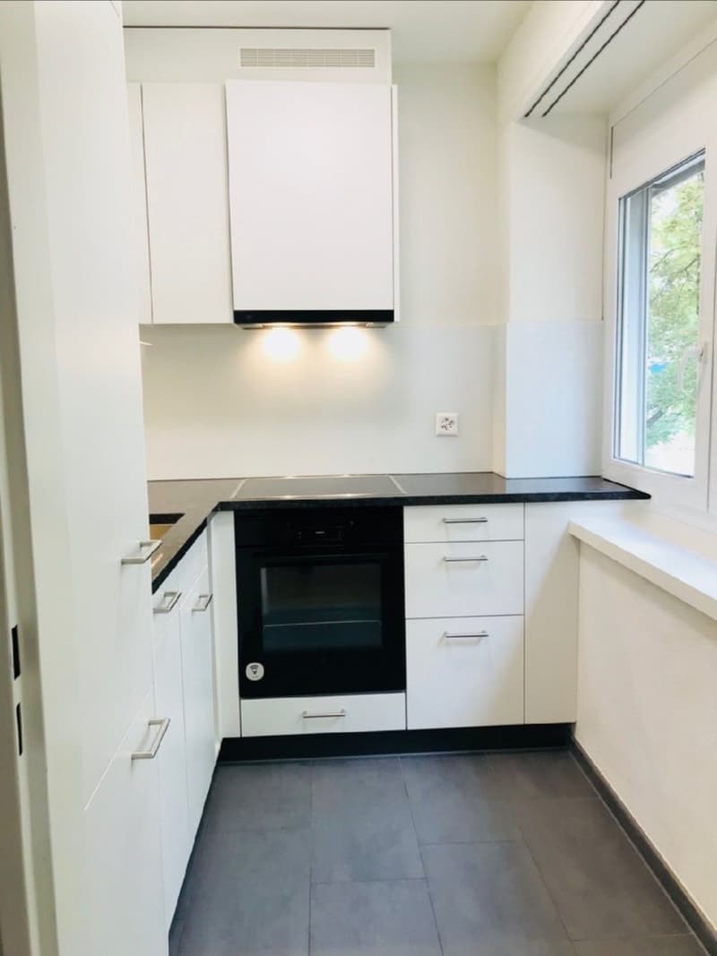 1 Zimmer Wohnung in Kloten mieten (2)