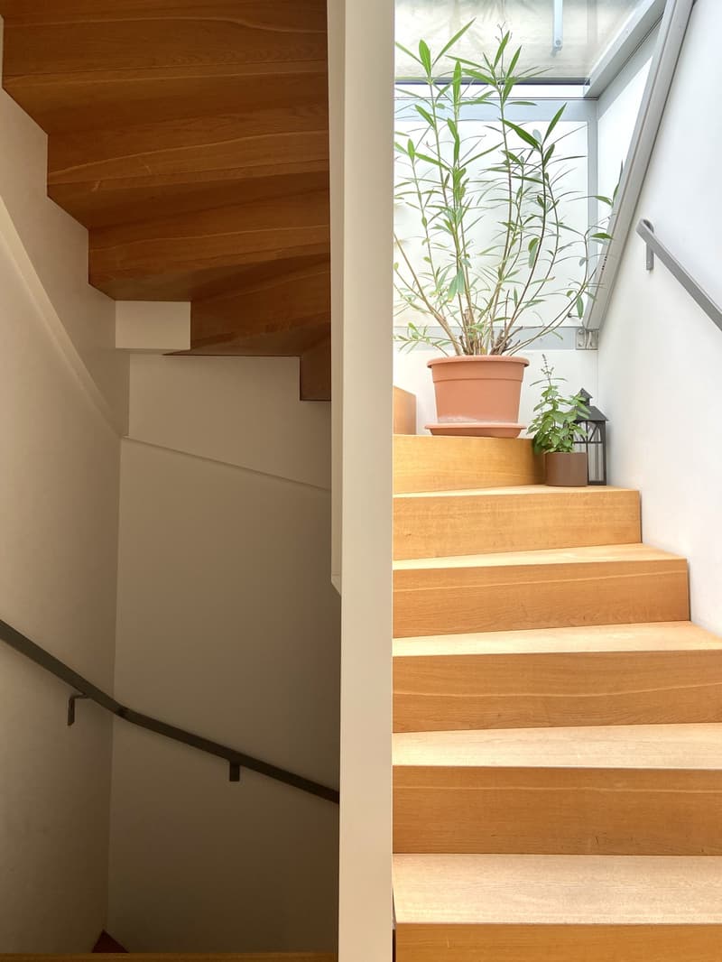 Looking for two new flatmates (5)