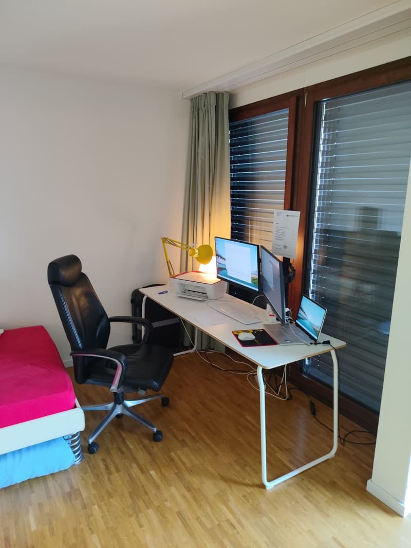 1.5 Zimmer Wohnung (3)