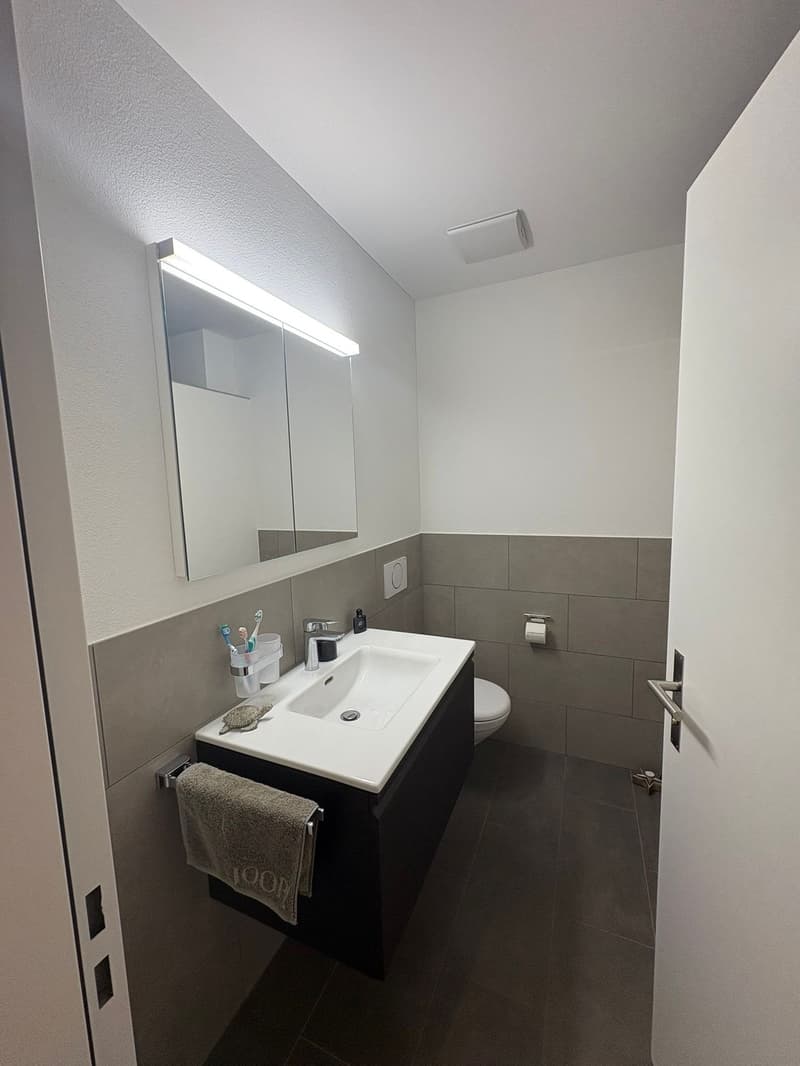4.5 Zimmer Wohnung zu vermieten (5)
