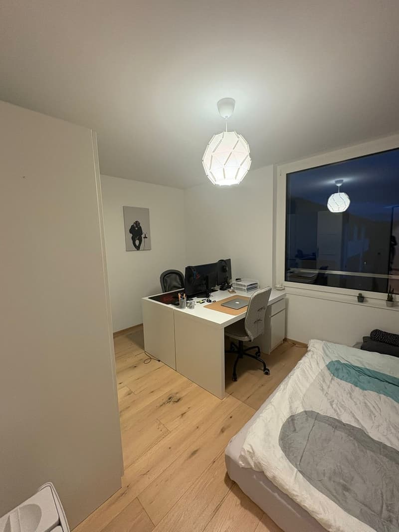 4.5 Zimmer Wohnung zu vermieten (4)
