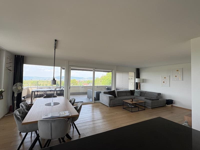 4.5 Zimmer Wohnung zu vermieten (1)