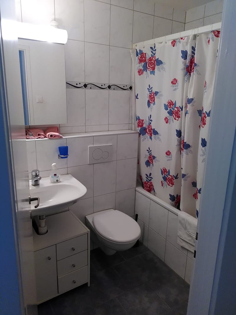 Freies WG Zimmer in Dübendorf (4)