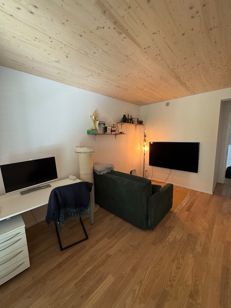 Wohnung zur Untermiete (5)