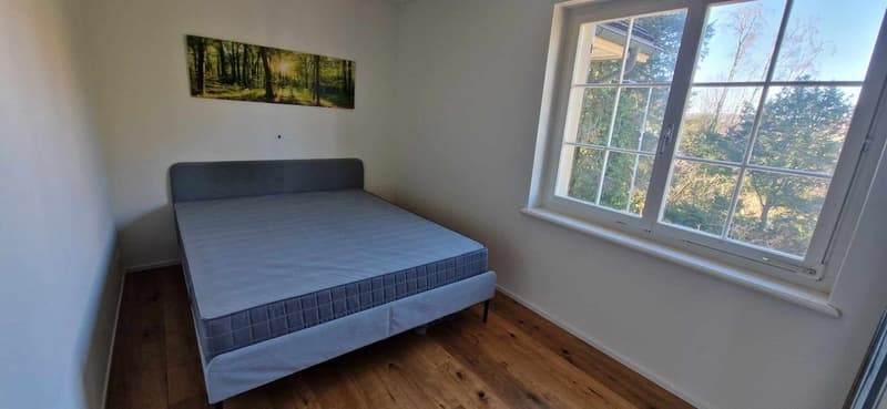 Schöne helle Wohnung in Stäfa (5)