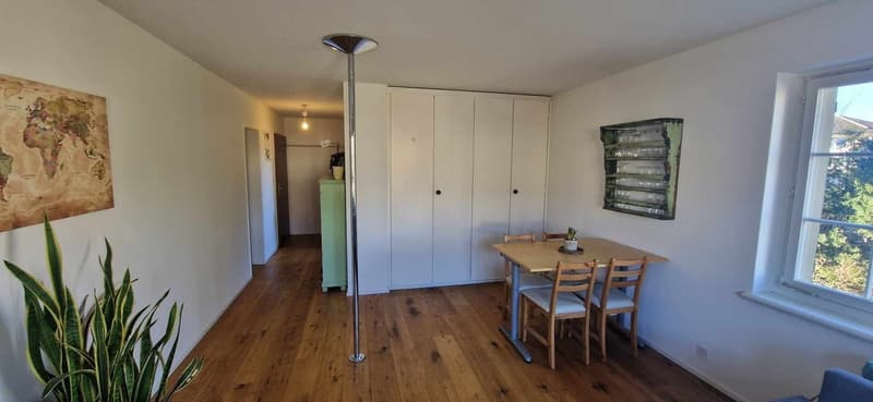 Schöne helle Wohnung in Stäfa (2)