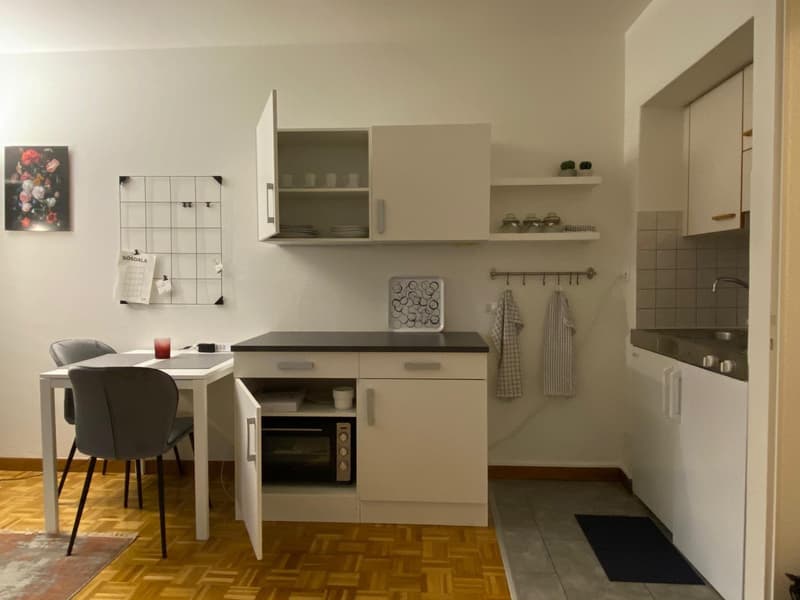 Möblierte 1-Zimmerwohnung in der Länggasse (9)