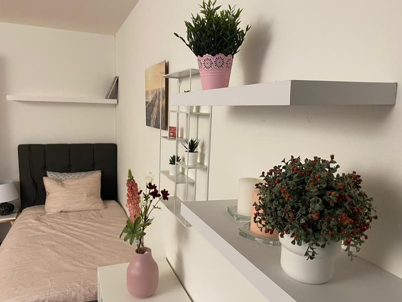 Möblierte 1-Zimmerwohnung in der Länggasse (3)