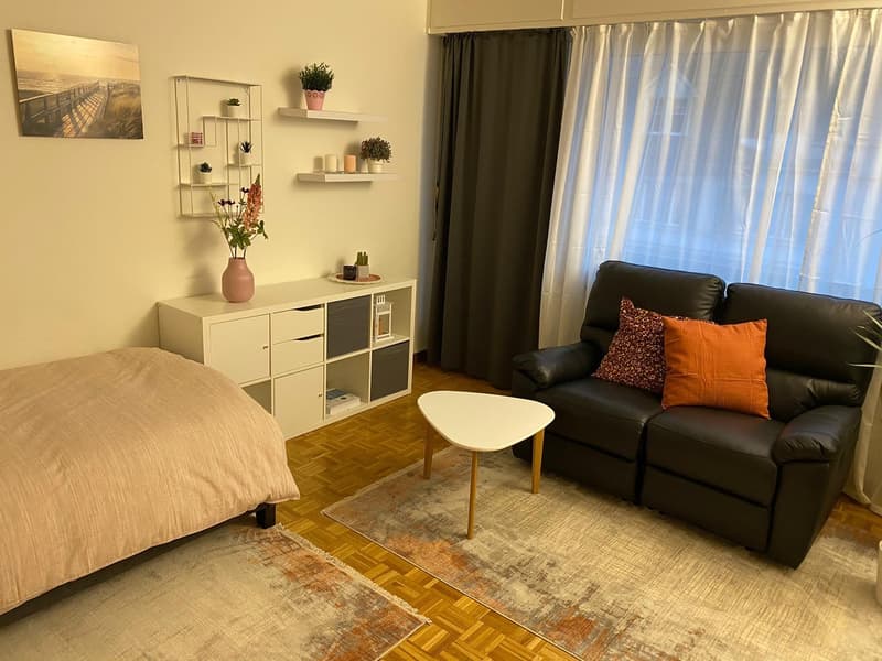 Möblierte 1-Zimmerwohnung in der Länggasse (5)