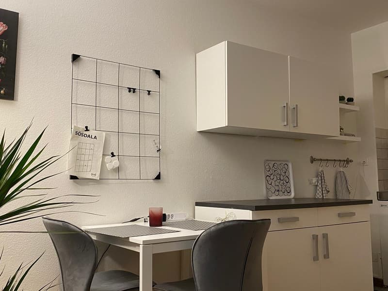 Möblierte 1-Zimmerwohnung in der Länggasse (8)