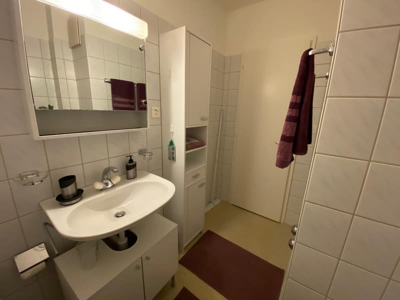 Möblierte 1-Zimmerwohnung in der Länggasse (10)