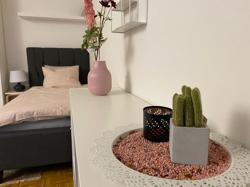 Möblierte 1-Zimmerwohnung in der Länggasse (2)