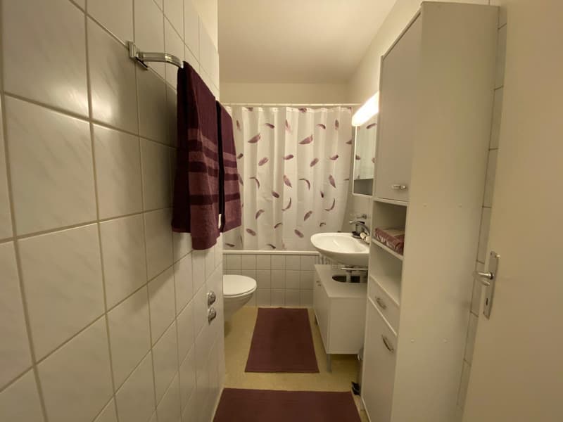 Möblierte 1-Zimmerwohnung in der Länggasse (12)