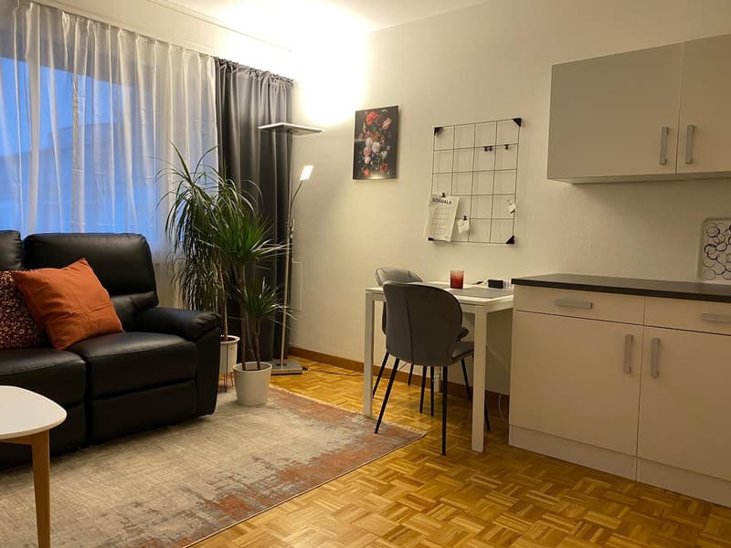 Möblierte 1-Zimmerwohnung in der Länggasse (7)