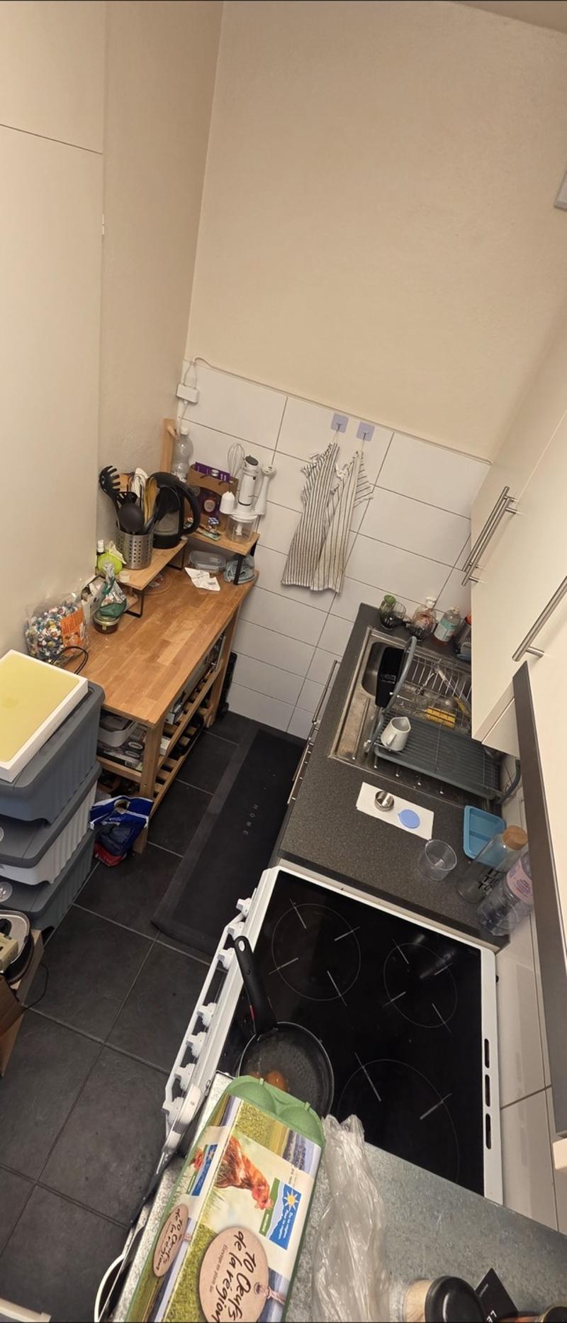 Superbe appartement lumineux au cur de Carouge Reprise de bail (7)