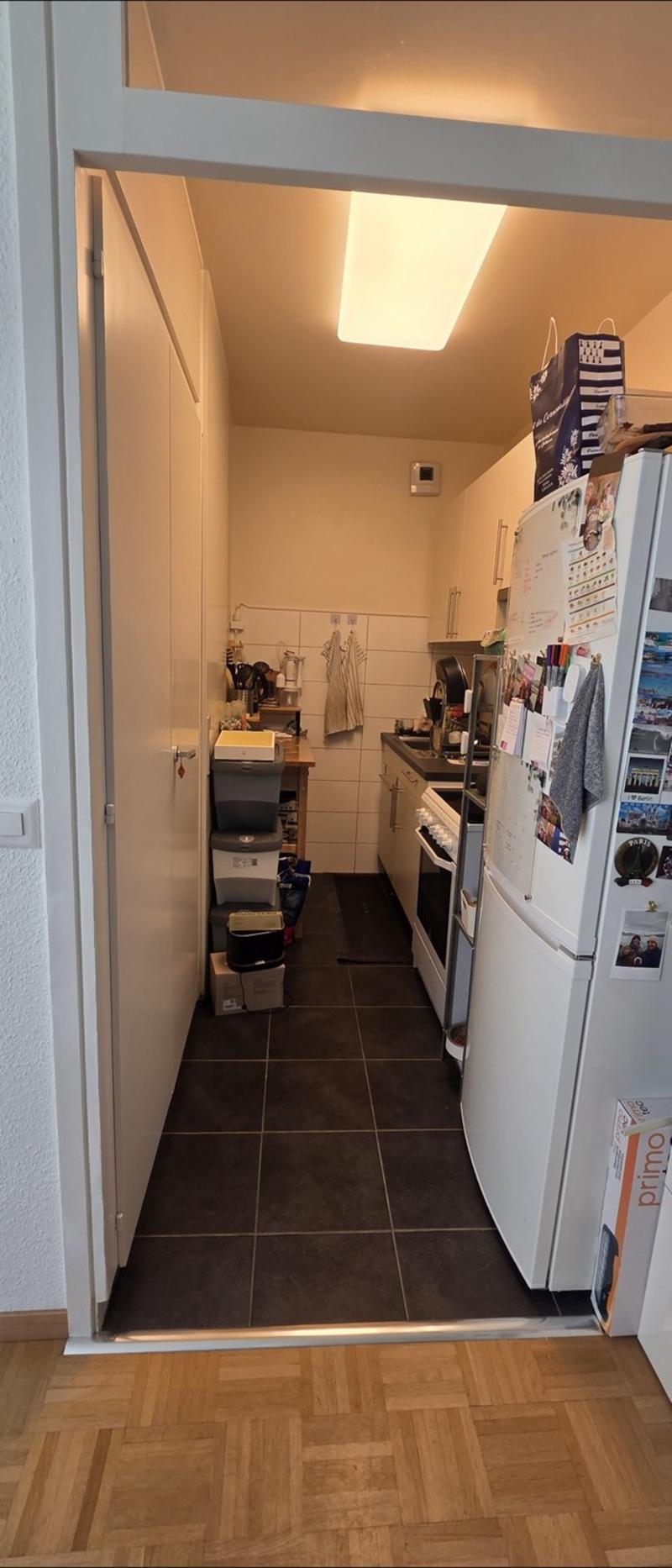 Superbe appartement lumineux au cur de Carouge Reprise de bail (6)