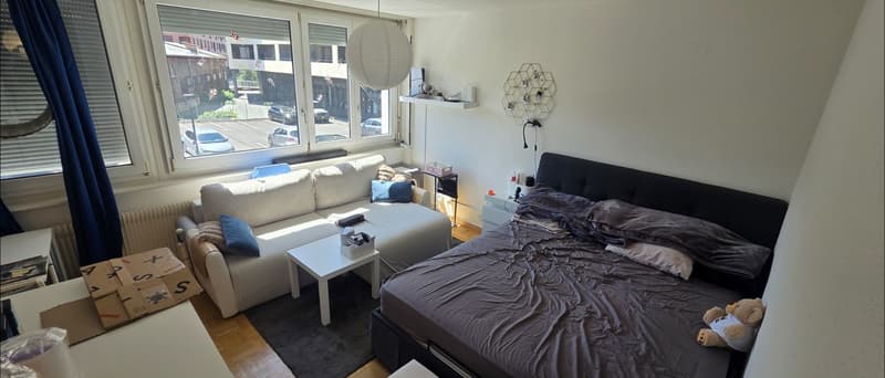 Superbe appartement lumineux au cur de Carouge Reprise de bail (1)
