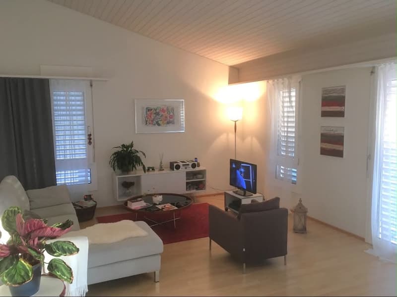 3 ½ Zimmer-Wohnung, 6004 Luzern (1)