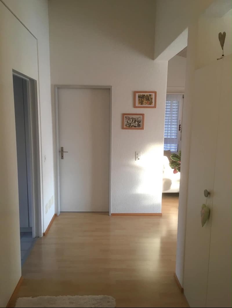 3 ½ Zimmer-Wohnung, 6004 Luzern (3)