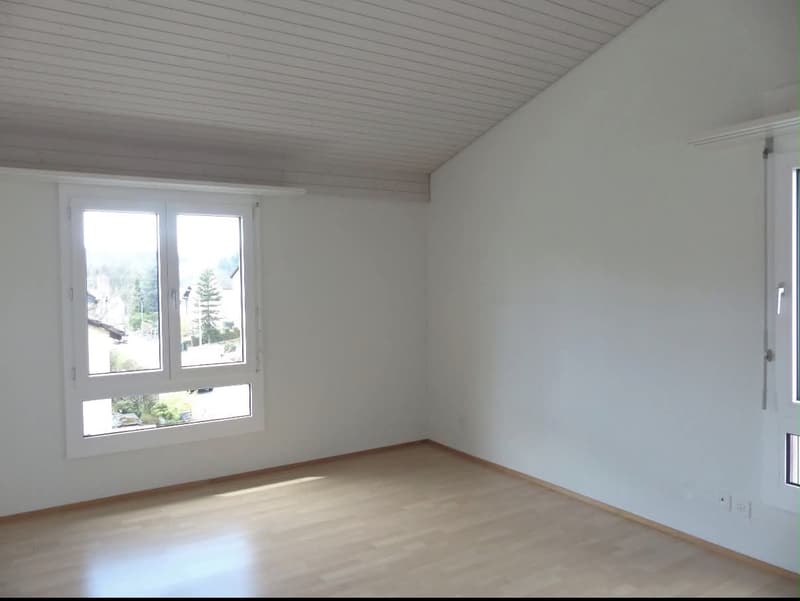 3 ½ Zimmer-Wohnung, 6004 Luzern (4)
