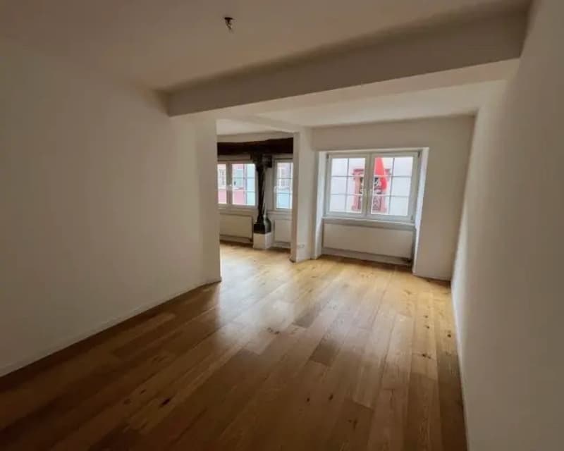 Wunderschöne Wohnung im Niederdorf ab September zu vermieten (6)