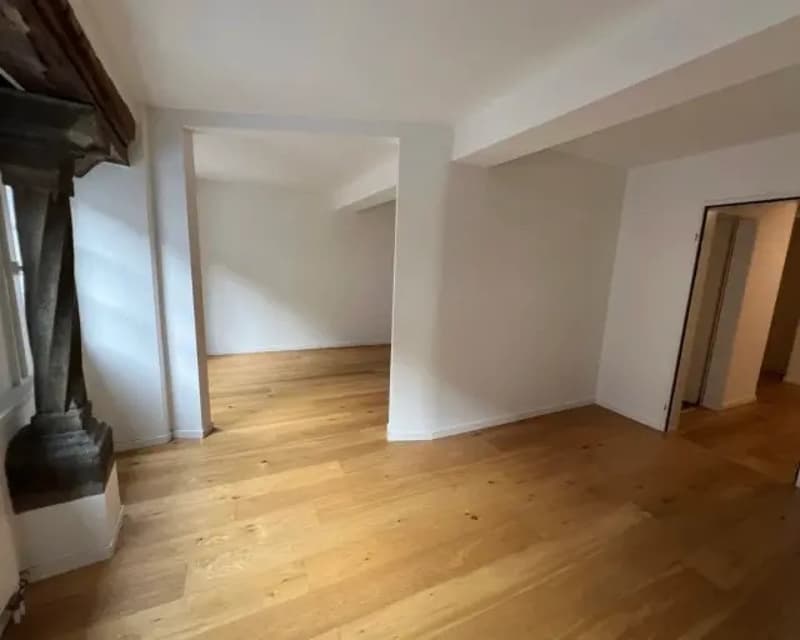 Wunderschöne Wohnung im Niederdorf ab September zu vermieten (7)