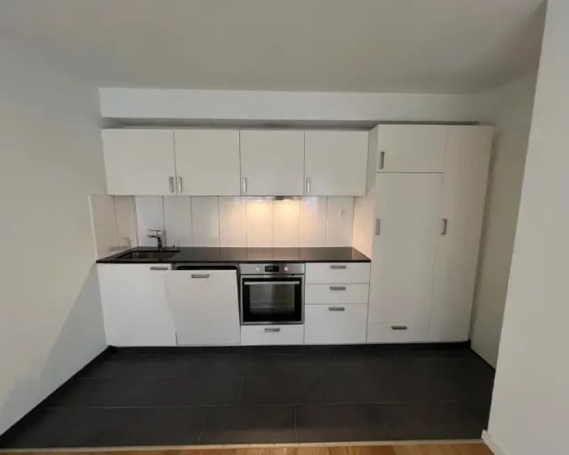 Wunderschöne Wohnung im Niederdorf ab September zu vermieten (4)