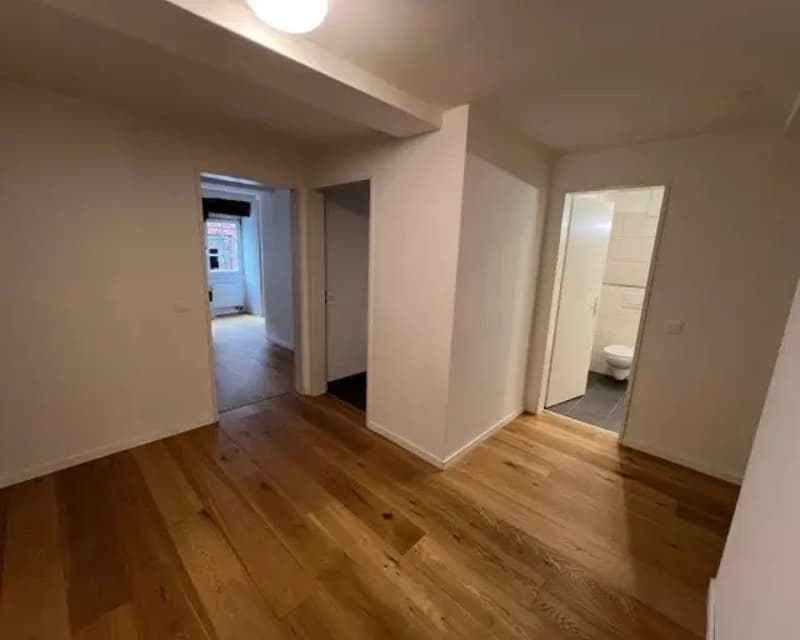 Wunderschöne Wohnung im Niederdorf ab September zu vermieten (2)