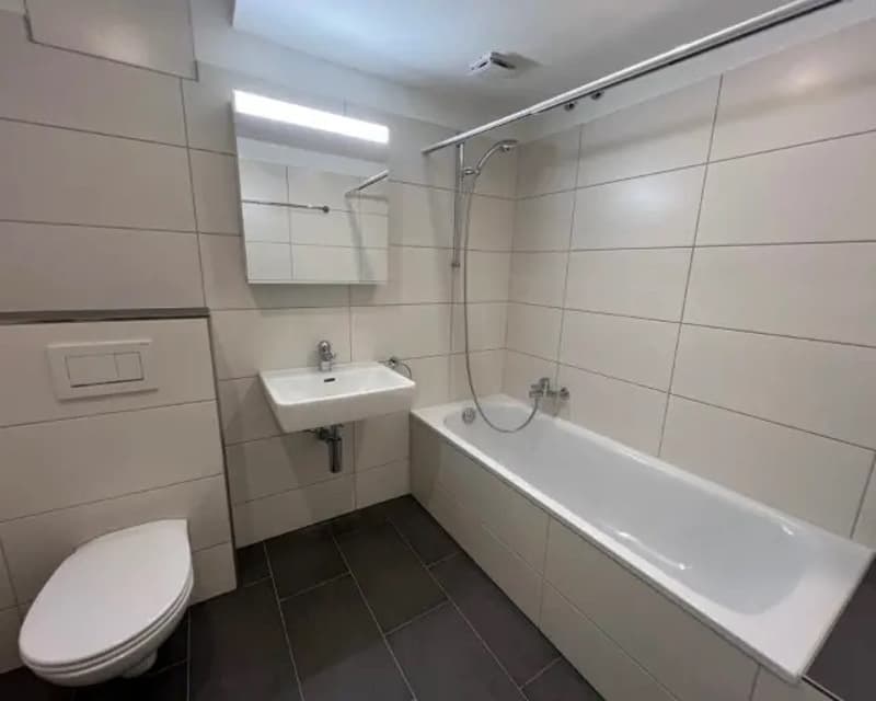 Wunderschöne Wohnung im Niederdorf ab September zu vermieten (5)