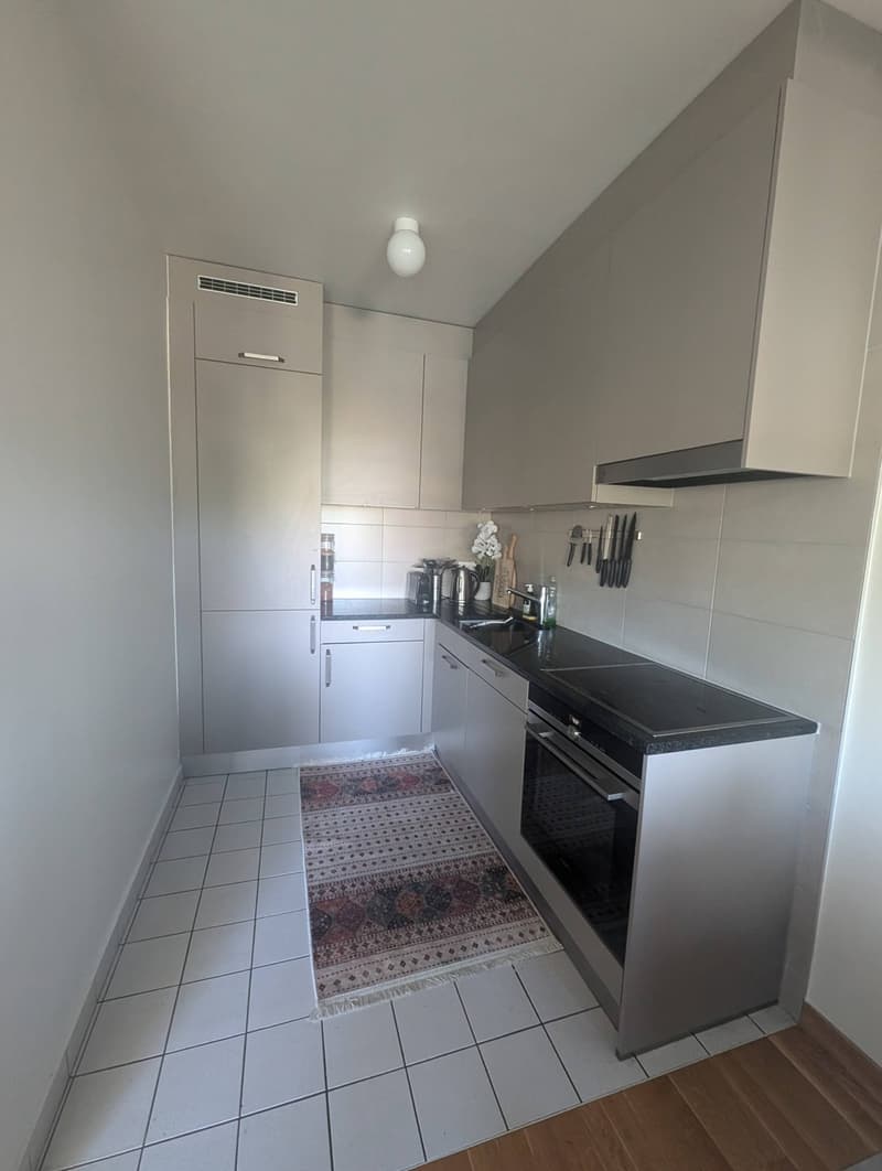 Fully furnished apartment for sublease, Geneva (4)