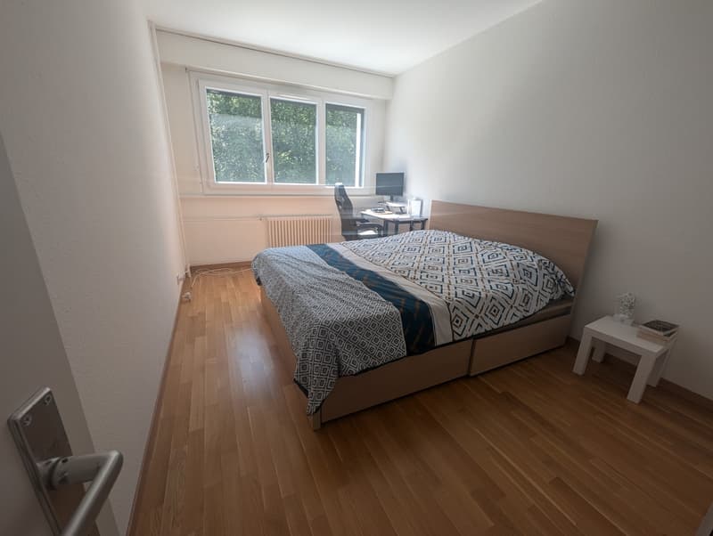 Fully furnished apartment for sublease, Geneva (2)