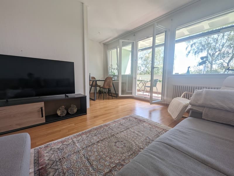 Fully furnished apartment for sublease, Geneva (1)